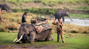 Kathgodam to Jim Corbett Park Ramnagar Taxi Service