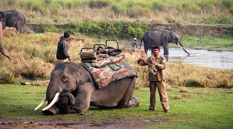 Kathgodam to Jim Corbett Park Ramnagar Taxi Service