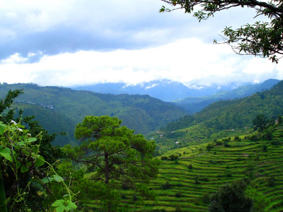 Haldwani to Kausani Taxi Service