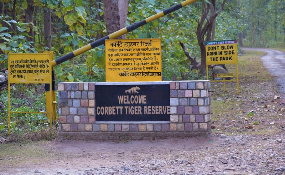 Haldwani to Jim Corbett Park Ramnagar Taxi Service