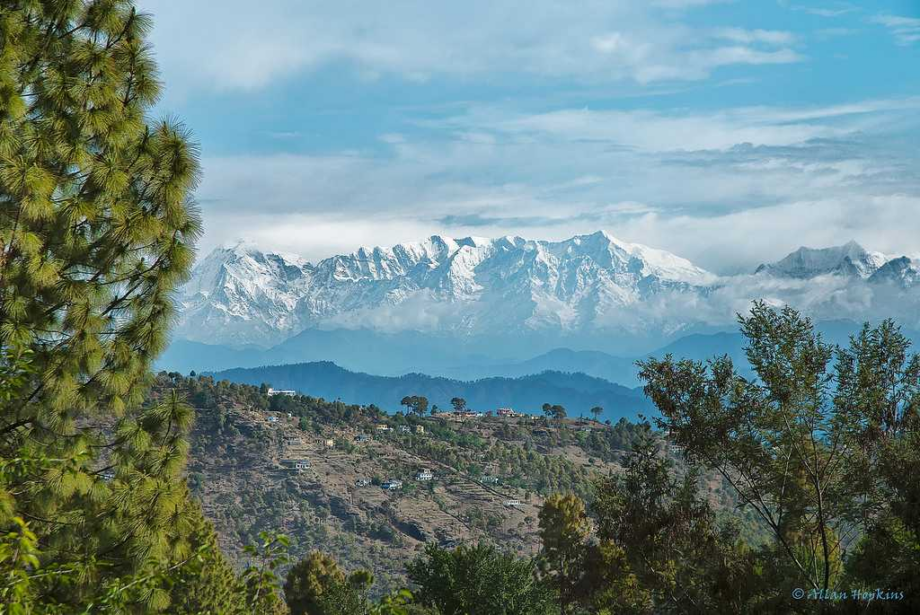 Haldwani to Almora Taxi Service 
