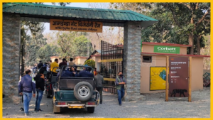Bareilly Airport to Ramnagar Jim Corbett Park Taxi Service